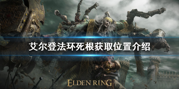 艾尔登法环死根如何获得 提高游戏效率