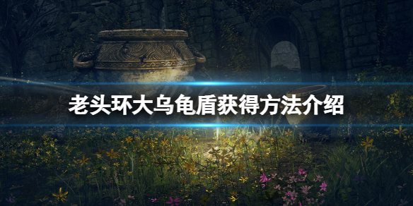 艾尔登法环大乌龟壳怎么拿 地图成就解锁与奖励获取