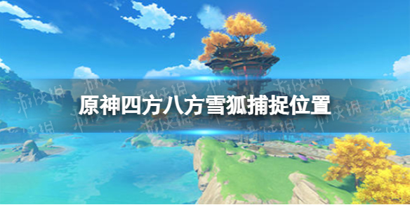原神2.3雪狐在什么地方? 装备升级材料获取