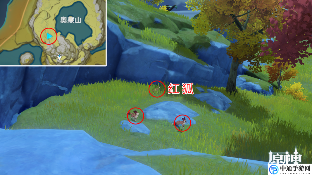 原神2.3雪狐在什么地方? 装备升级材料获取