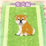 光遇宴会节活动可以兑换什么东西? 游戏活动与限时福利攻略