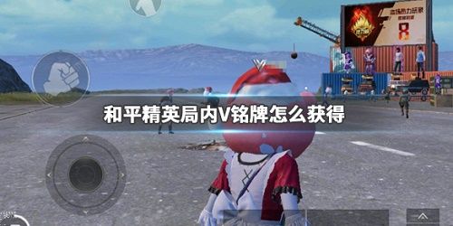 和平精英头上V标志怎么弄 V标志铭牌设置方法[视频]