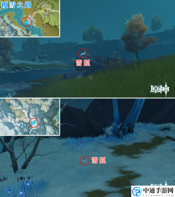 原神2.3雪狐在什么地方? 装备升级材料获取