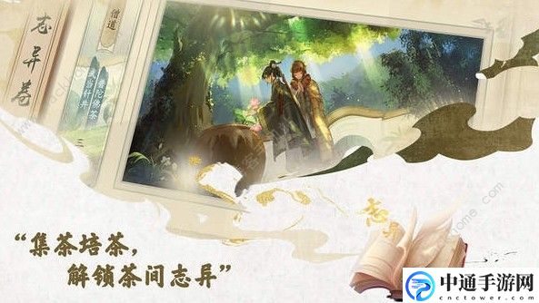 本茶纲目新手指南 新手注意事项详解[视频]
