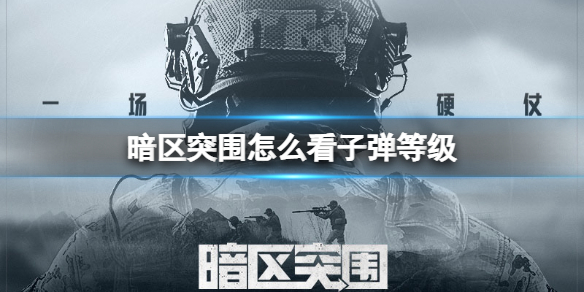 暗区突围子弹等级查看方法 游戏平衡与角色定位分析