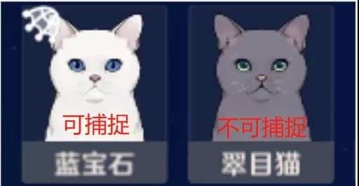 原神四方八方之网可捕捉动物一览 攻略明确升级路线
